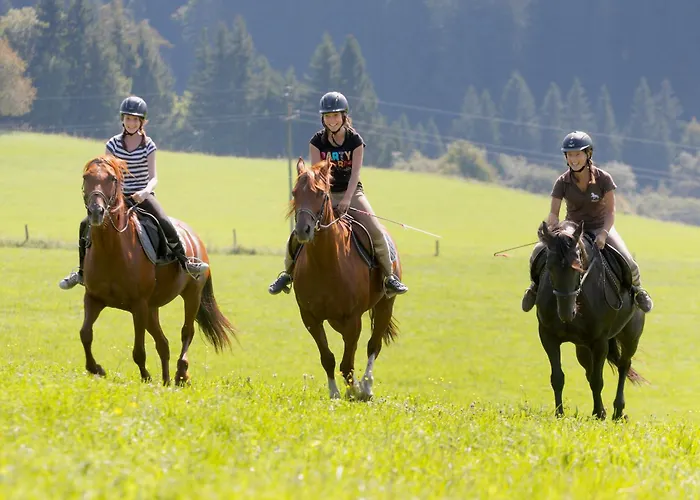 Hotel Petschnighof 4*