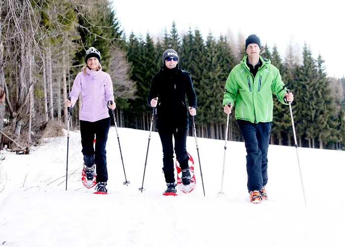 Petschnighof 4* Diex